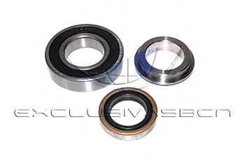 Wheel Bearing Kit (MWB-R1022)
