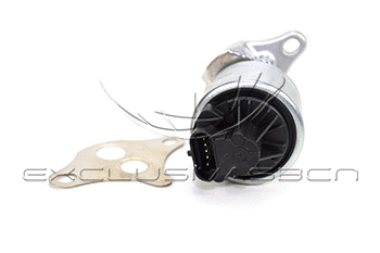 EGR Valve