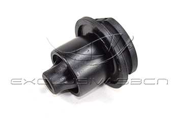 Mounting, control/trailing arm