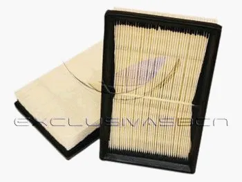 Air Filter (MAF-3819)