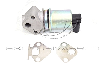 EGR Valve (EEG-VA21)