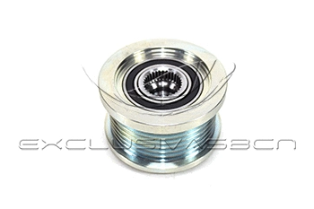 Alternator Freewheel Clutch