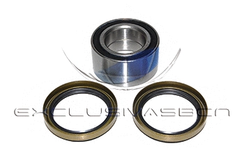 Wheel Bearing Kit (MWB-R8002)