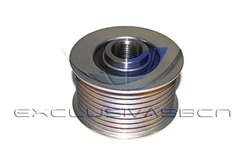Alternator Freewheel Clutch