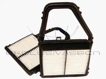 Air Filter (MAF-3429)