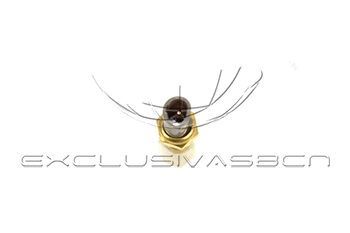 Sensor, coolant temperature