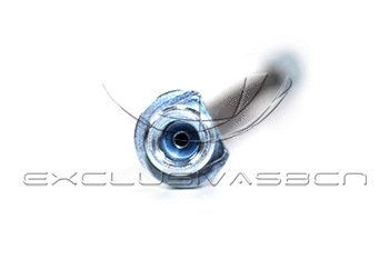 Holding Bracket, brake hose