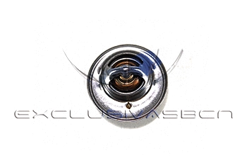 Thermostat, coolant