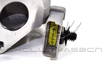 EGR Valve
