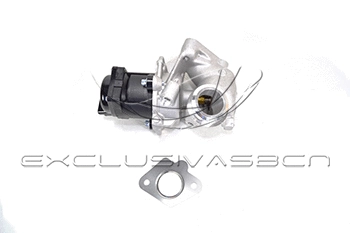 EGR Valve (EEG-CP03)
