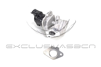 EGR Valve