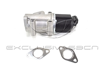 EGR Valve