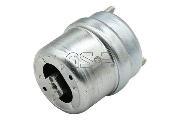 Mounting, engine (GSP-510323)