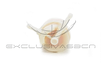 Fuel Filter (MFF-3221)