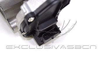EGR Valve