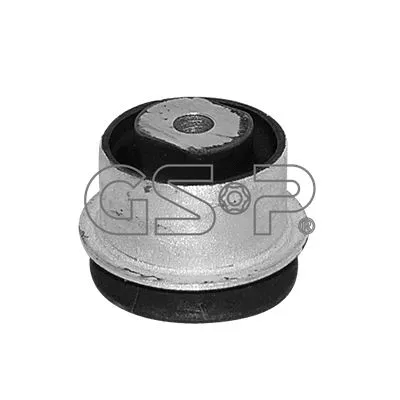 Mounting, control/trailing arm (GSP-510867)