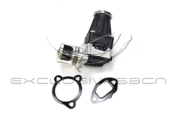EGR Valve