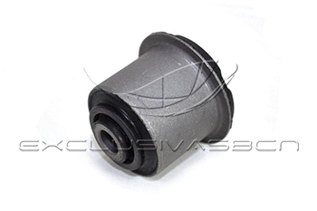 Mounting, control/trailing arm