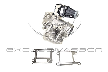 EGR Valve