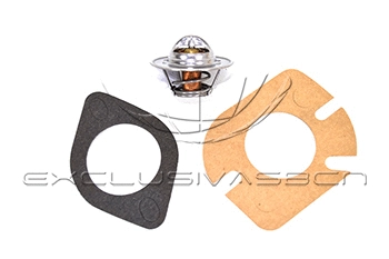Thermostat, coolant