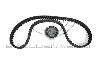 Timing Belt Kit