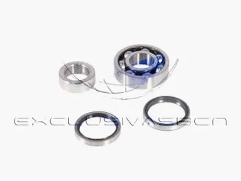 Wheel Bearing Kit (MWB-R6010)