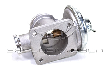 EGR Valve (EEG-LR04)