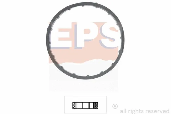 Gasket, thermostat housing