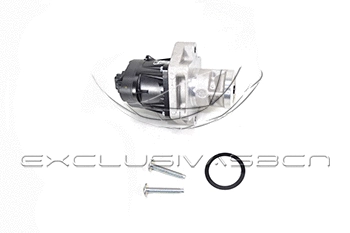 EGR Valve