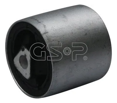 Mounting, control/trailing arm (GSP-510620)