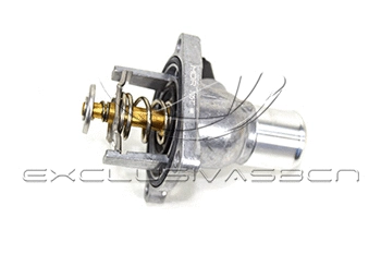 Thermostat, coolant