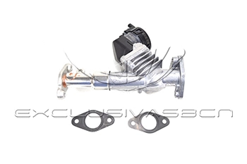 EGR Valve (EEG-BM01)