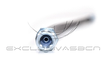 Holding Bracket, brake hose