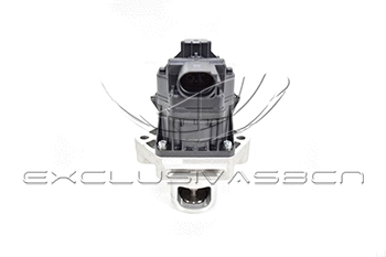 EGR Valve (EEG-AF25)