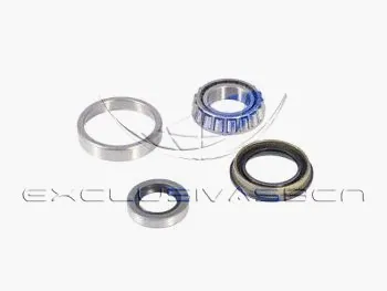 Wheel Bearing Kit (MWB-R1021)
