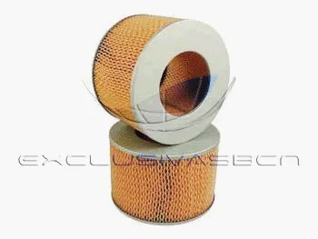 Air Filter (MAF-3231)