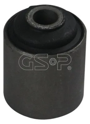 Mounting, control/trailing arm (GSP-530254)