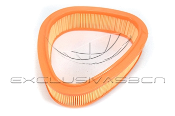 Air Filter (MAF-3494)