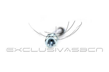 Holding Bracket, brake hose