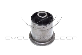 Mounting, control/trailing arm