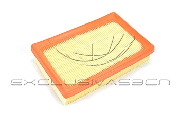 Air Filter (MAF-32009)