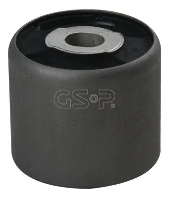Mounting, differential (GSP-510653)