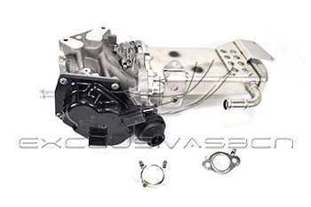 EGR Valve (EEG-VA11)