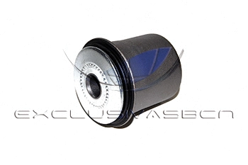 Mounting, control/trailing arm (MEM-8244)