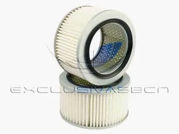 Air Filter (MAF-3807)