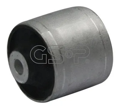 Mounting, control/trailing arm (GSP-510301)