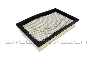 Air Filter (MAF-3919)
