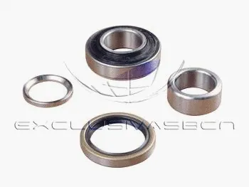 Wheel Bearing Kit (MWB-R8000)
