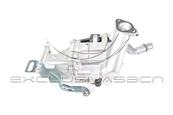EGR Valve (EEG-CP14)