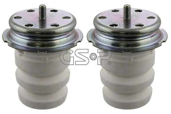 Dust Cover Kit, shock absorber (GSP-5407720PK)
